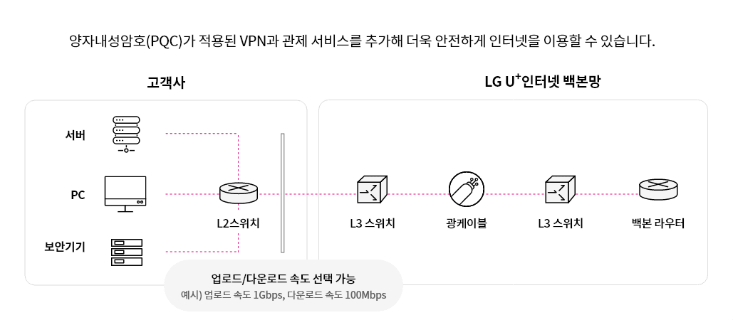 비즈온 전용선
